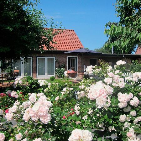 "Rosenkate 1" Apartment Riepsdorf Екстериор снимка